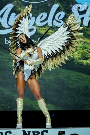 FIT-ANGELS ( 2 раунд )